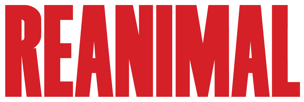 Reanimal Key Generator